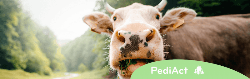 5 signes d'allergie aux protéines de lait de vache chez votre enfant