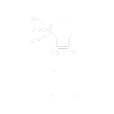 Spray nasal